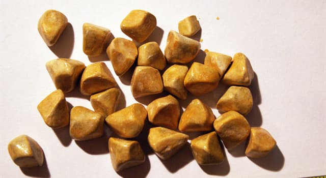 Science Trivia Question: The 5 Fs as risk group in gall bladder stones are Female, Forty, Fertile, Fatty and what?