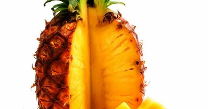 Natuur Trivia Vraag: Waarom heeft een ananas kleine stekels?