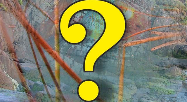 Natur Wissensfrage: Was ist ein Fennek?