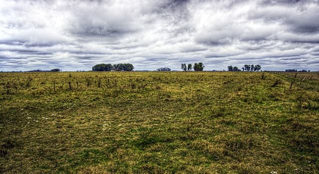 Geografia Pytanie-Ciekawostka: Gdzie znajduje się pampa?