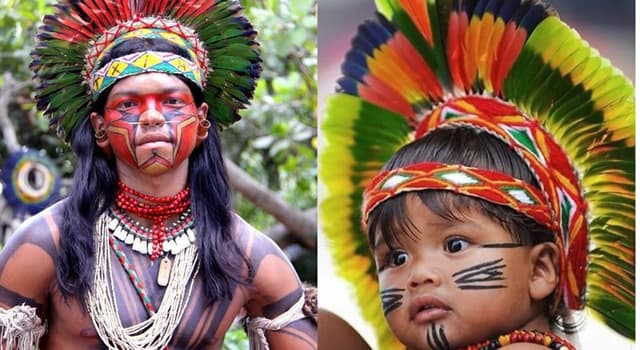 Geografía Pregunta Trivia: ¿En qué país habita la tribu "Uru-Eu-Wau-Wau"?