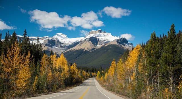 Aardrijkskunde Trivia Vraag: Welke kleur heeft het esdoornblad op de vlag van Canada?