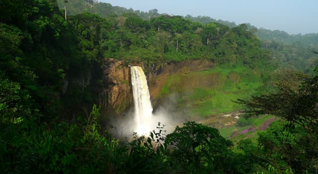 Geographie Wissensfrage: Auf welchem Kontinent liegt Kamerun?