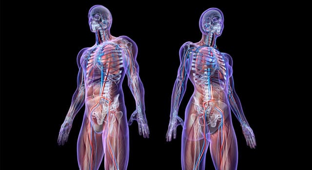 Bilim Trivia Sorusu: Migreni Olan Birinin Hangi Ağrıları Vardır?