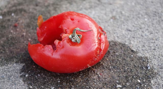 Cultuur Trivia Vraag: Welk Europees land viert jaarlijks een feest waarbij deelnemers tomaten naar elkaar gooien?