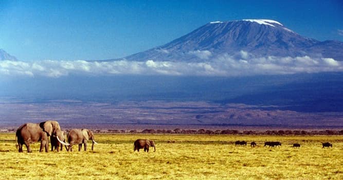 地理 小问题：非洲最高的山是哪座山？