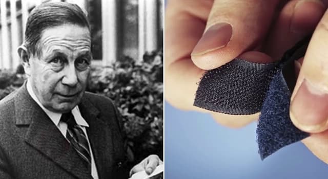 Wissenschaft Wissensfrage: Wie soll der Ingenieur Georges de Mestral auf die Idee für die Erfindung des Klettverschlusses gekommen sein?