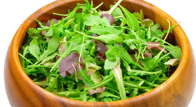 Doğa Trivia Sorusu: Resimde ne görülüyor?