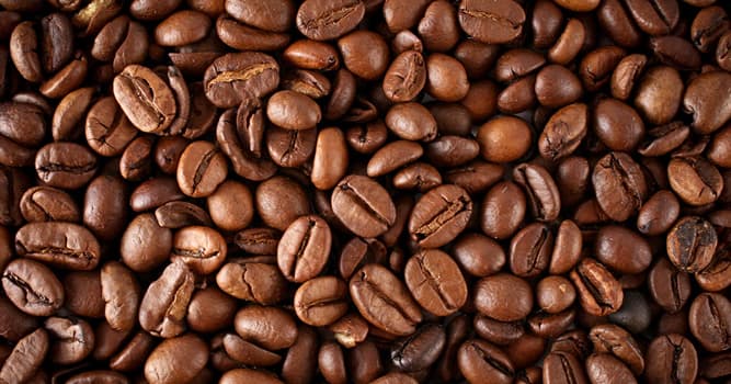 Natuur Trivia Vraag: Een koffieboon is eigenlijk de pit van welke zachte vruchtensoort?