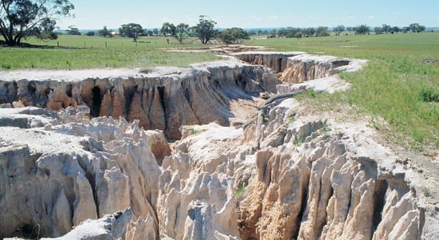 Wetenschap Trivia Vraag: Hoe heet een geologisch proces waarbij de grond door natuurlijke krachten verplaatst wordt?