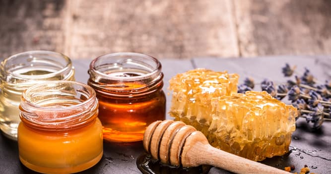 Gesellschaft Wissensfrage: Kann Honig schlecht werden?