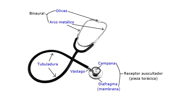 Kultura Pytanie-Ciekawostka: Do czego służy stetoskop lub fonendoskop?