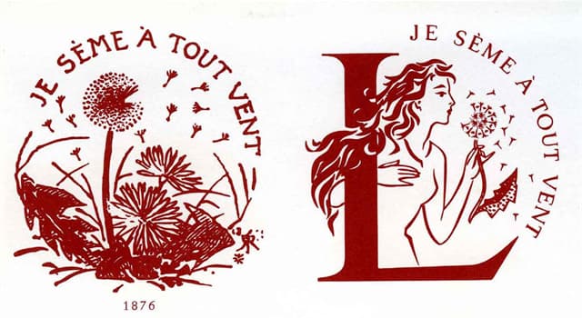 Kültür Trivia Sorusu: Karahindiba nedir?