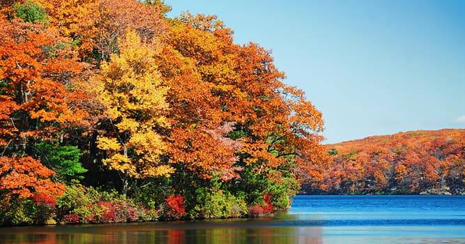 Geografia Pytanie-Ciekawostka: W którym stanie USA znajdują się góry Catskill?