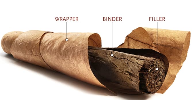 Cultuur Trivia Vraag: Hoe heet een opgerolde bundel met gedroogde en gefermenteerde tabaksbladeren die gemaakt is om te roken?