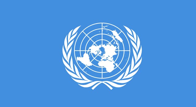 Sociedad Pregunta Trivia: ¿Cuál es el principal objetivo de la FAO, el organismo especializado de la ONU?