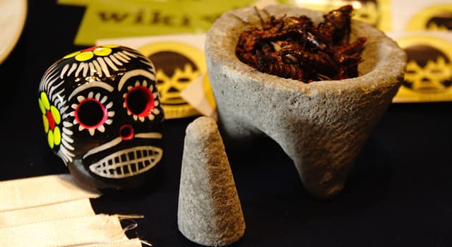 Cultura Pregunta Trivia: ¿Con qué nombre se denominaba al mortero tradicional de mesoamérica ampliamente utilizado en México?