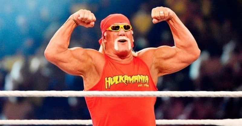 Sport Trivia Question: In 1988 who was Hulk Hogan's opponent in the match for the World Wrestling Federation (WWF) Championship?