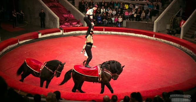 Kültür Trivia Sorusu: Çevresi yükselen izleyici koltukları olan özel mekan nedir?