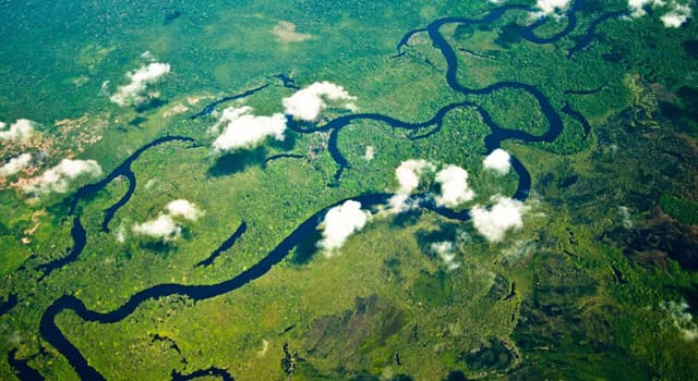 Aardrijkskunde Trivia Vraag: Door welk continent stroomt de Amazone rivier?