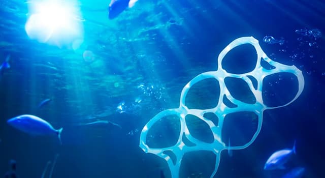 Сiencia Pregunta Trivia: ¿Qué han desarrollado científicos de la Universidad de Portsmouth para acabar con los plásticos PET?