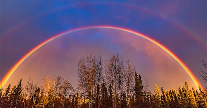 Nature Trivia Question: What causes a rainbow?