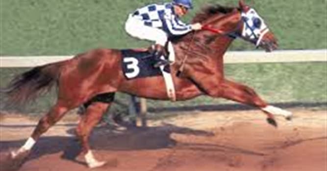 Sport Trivia Question: Which jockey rode Secretariat to horse racing's Triple Crown in 1973?