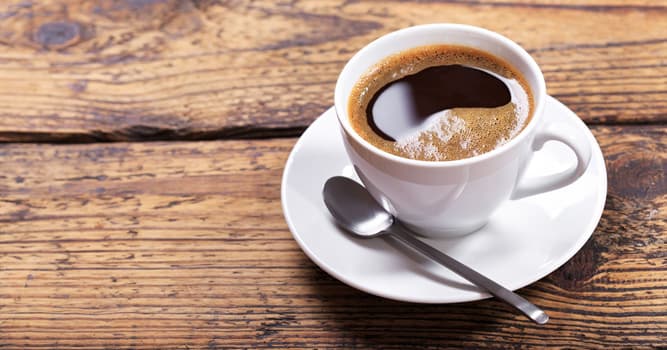 Gesellschaft Wissensfrage: Wie bekommt man die teuersten Kaffeebohnen der Welt?