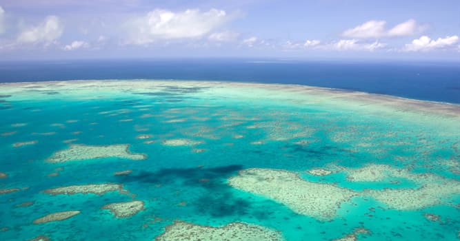 Geographie Wissensfrage: Wo befindet sich das Great Barrier Reef ?