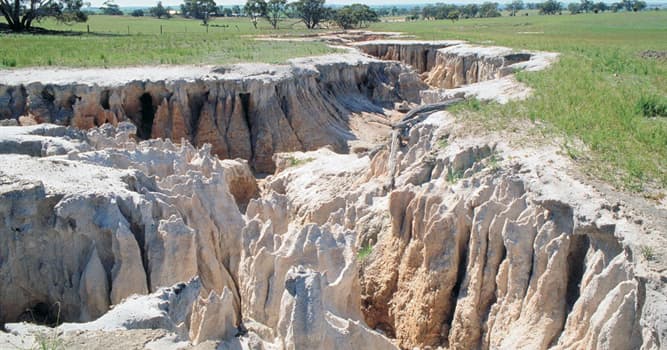 Сiencia Pregunta Trivia: ¿Cuál es el proceso geológico en el que el suelo de la tierra es barrido progresivamente?