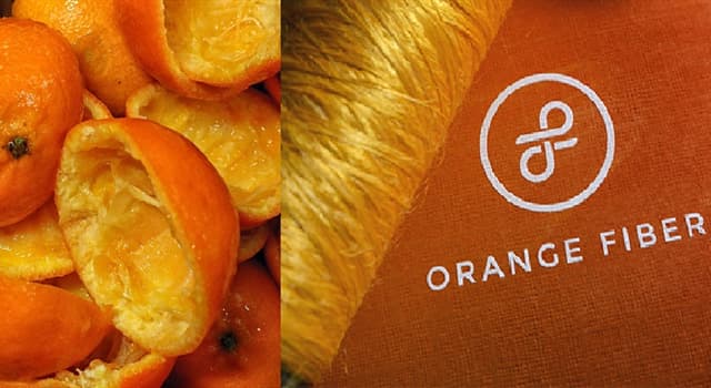 Sociedad Pregunta Trivia: ¿En qué país funciona la fábrica llamada "Orange Fiber" que desarrolla fibras con cáscaras de naranja?