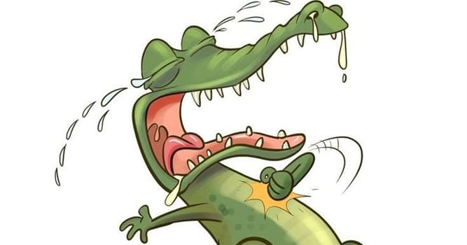 Naturaleza Pregunta Trivia: ¿Por qué lloran los cocodrilos?