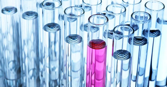 Bilim Trivia Sorusu: Bu kaplardan hangisi laboratuvarlarda kimyasal reaksiyonlar için kullanılır?