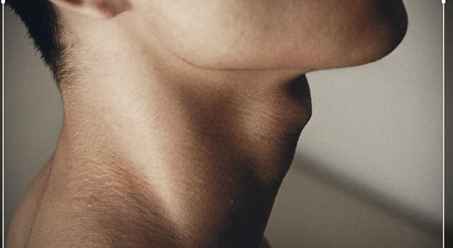 Сiencia Pregunta Trivia: ¿Cómo se conoce la prominencia que tienen los hombres en la garganta?