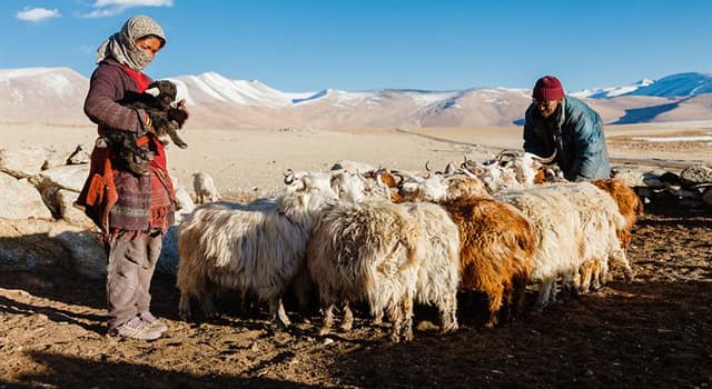 In Which Parts Of Europe Is Nomadic Herding Practiced GarrettkruwWaters