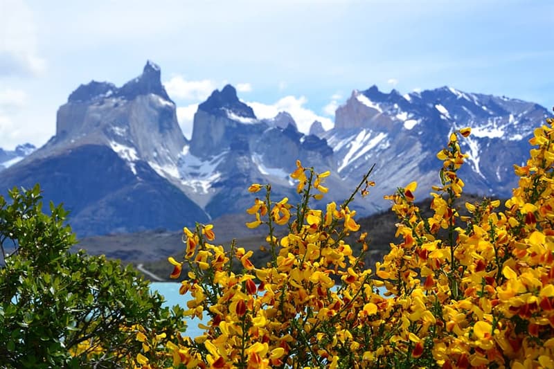 Cultuur Trivia Vraag: Welke van deze is de meest gesproken taal in Zuid-Amerika?