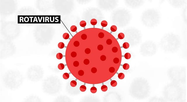 Сiencia Pregunta Trivia: ¿Cuál de los siguientes no es un síntoma del Rotavirus?