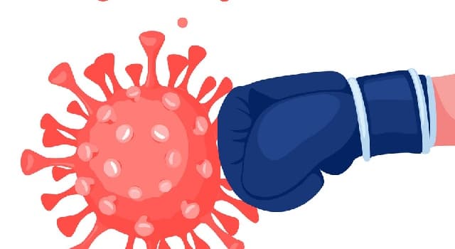 Сiencia Pregunta Trivia: ¿Cuál es la función de los linfocitos?