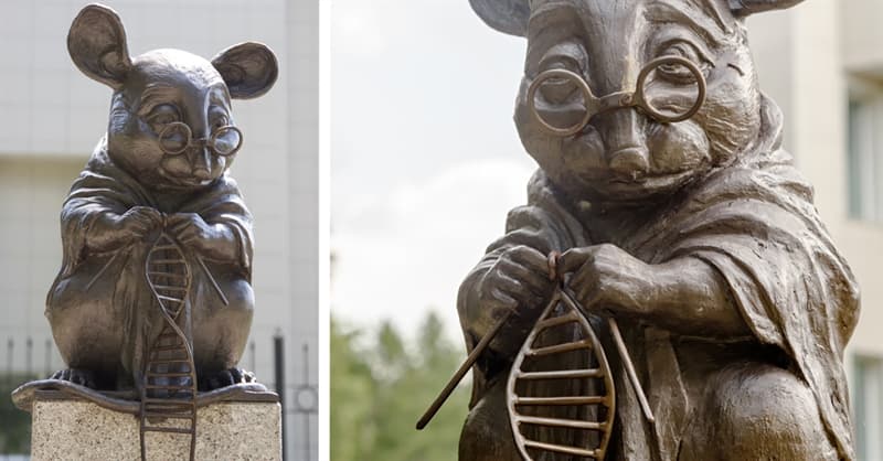 Sociedad Pregunta Trivia: ¿En qué país se erige un monumento dedicado a los ratones de laboratorio?