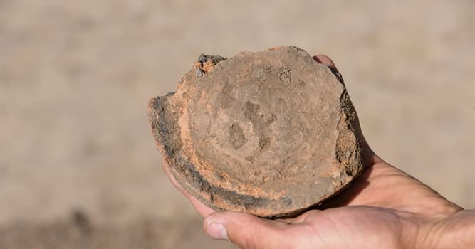 Science Trivia Question: In archaeology, what is an artifact?