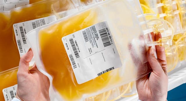 Сiencia Pregunta Trivia: ¿Cómo se llama el líquido amarillento que forma parte de la sangre?