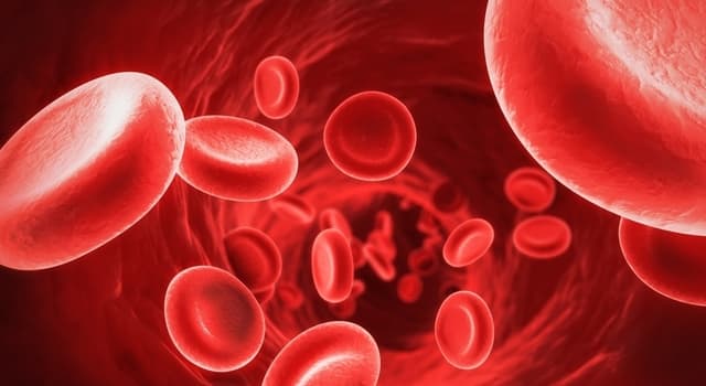 Сiencia Pregunta Trivia: ¿Qué metal se encuentra en la hemoglobina?