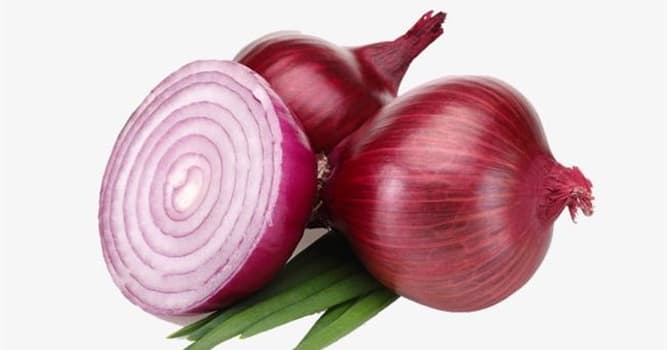 what-does-the-word-onion-mean-in-trivia-answers-quizzclub