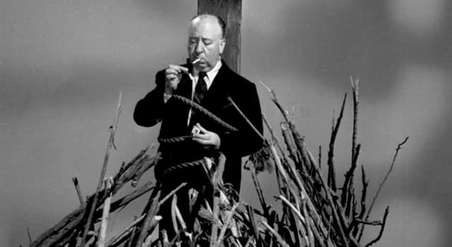 Films & TV Trivia Vraag: Wie speelde de rol van Alfred Hitchcock in de biografische Hollywood film "Hitchcock" uit 2012?