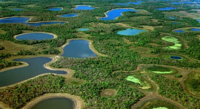 Geografía Pregunta Trivia: ¿Dónde está el Gran Pantanal?