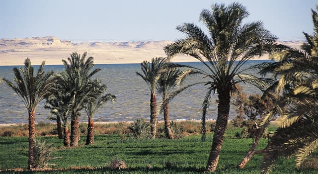 Geografía Pregunta Trivia: ¿En qué país se encuentra el oasis El Fayyum?