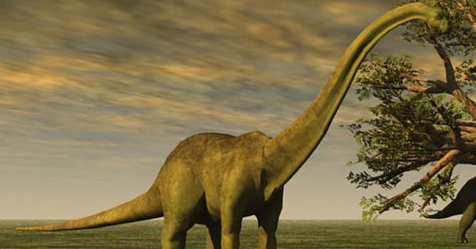 Naturaleza Pregunta Trivia: ¿En cuántas especies se clasifican en la actualidad los "Brontosaurus"?