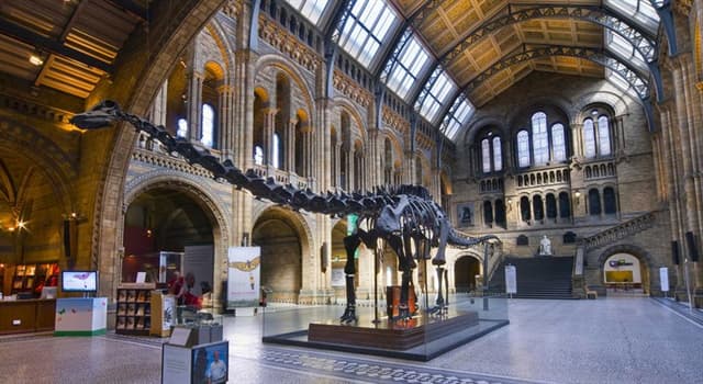 Culture Trivia Question: The Natural History Museum in London is particularly famous for which exhibition?