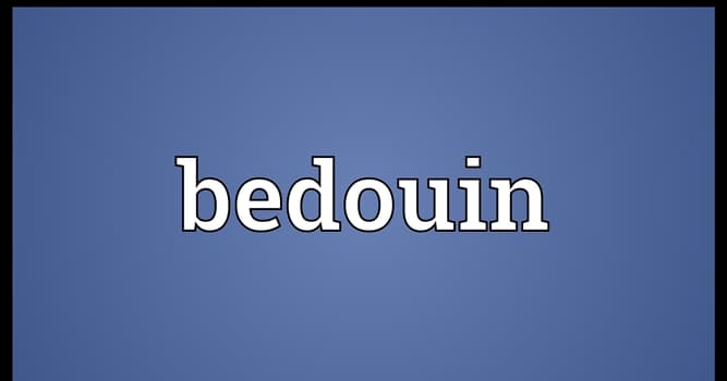 Culture Trivia Question: What does the word "Bedouin" mean?