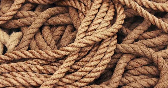 Società Domande: Come si chiama un anello di corda pronto ad essere lanciare attorno a un bersaglio?